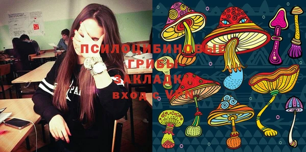 дурь Козловка