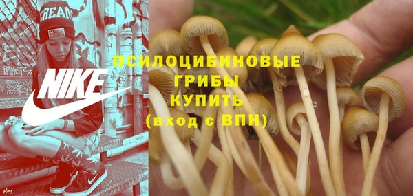 мяу мяу кристалл Кодинск